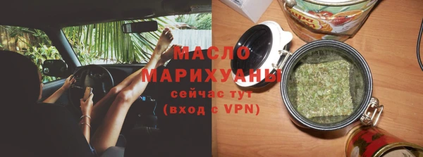 гидра Инта