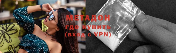 гидра Инта
