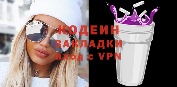 гидра Инта