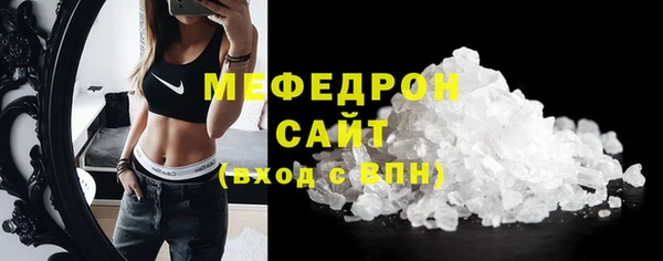 гидра Инта