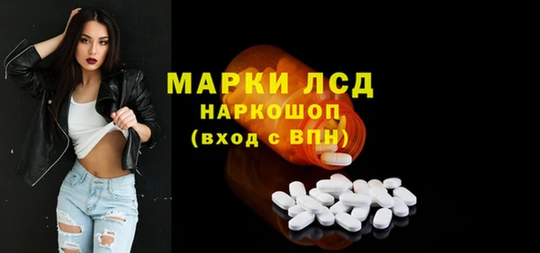гидра Инта