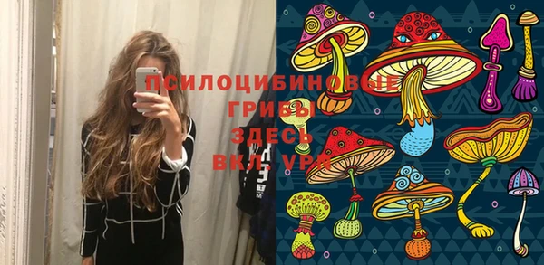 меф Инсар