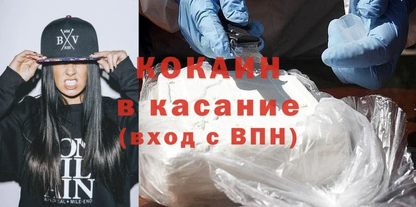 гидра Инта