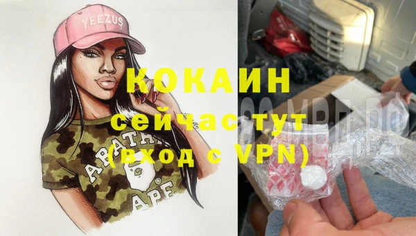 гидра Инта
