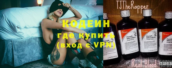 гидра Инта