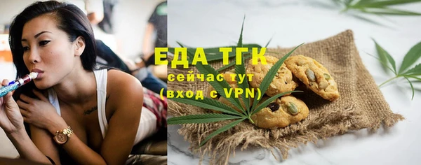 гидра Инта