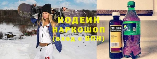 гидра Инта