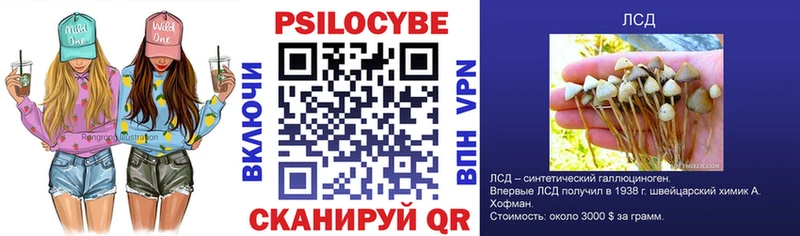Купить где Липки Псилоцибиновые грибы Magic Shrooms